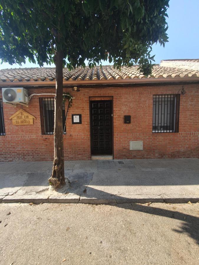 科爾多瓦La Casa El Limonero别墅 外观 照片